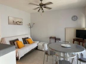 Bel appartement lumineux avec balcon, proche des Thermes et commerces, animaux admis - FR-1-503-62